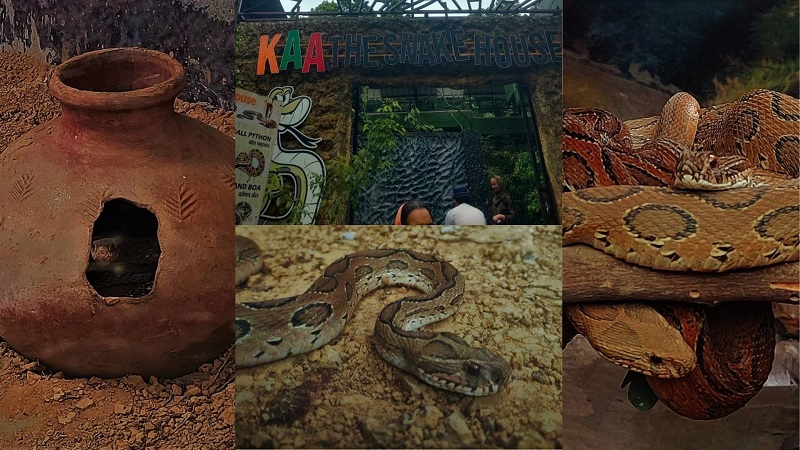 KAA The Snake House in Dehradun