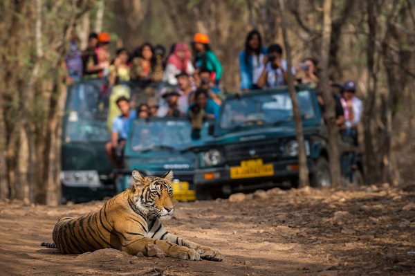 Bandhavgarh National Park