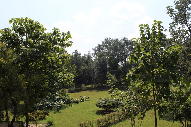 Resorts near Bandhavgarh National Park