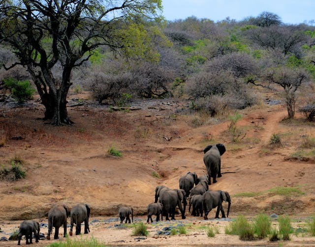 Best places to visit in Kenya with family